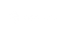 Shopify Partner